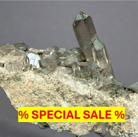 Special Sale