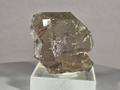 Rauchquarzgwindel - Uri/Schweiz ca. 4,5x4cm
