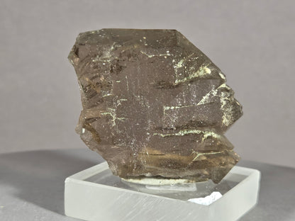 Rauchquarzgwindel - Uri/Schweiz ca. 4,5x4cm