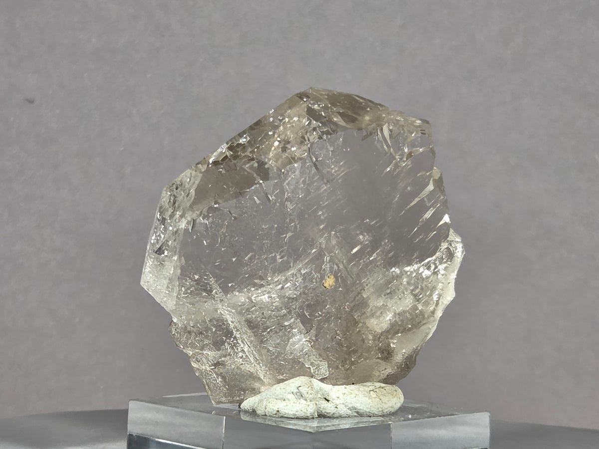 Rauchquarzgwindel - Uri/Schweiz ca. 5,8x5cm