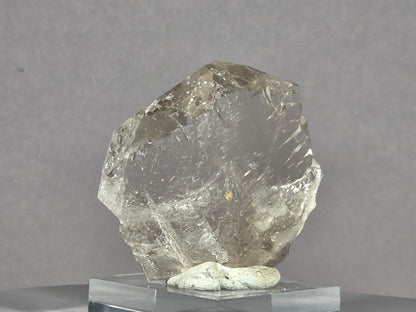 Rauchquarzgwindel - Uri/Schweiz ca. 5,8x5cm