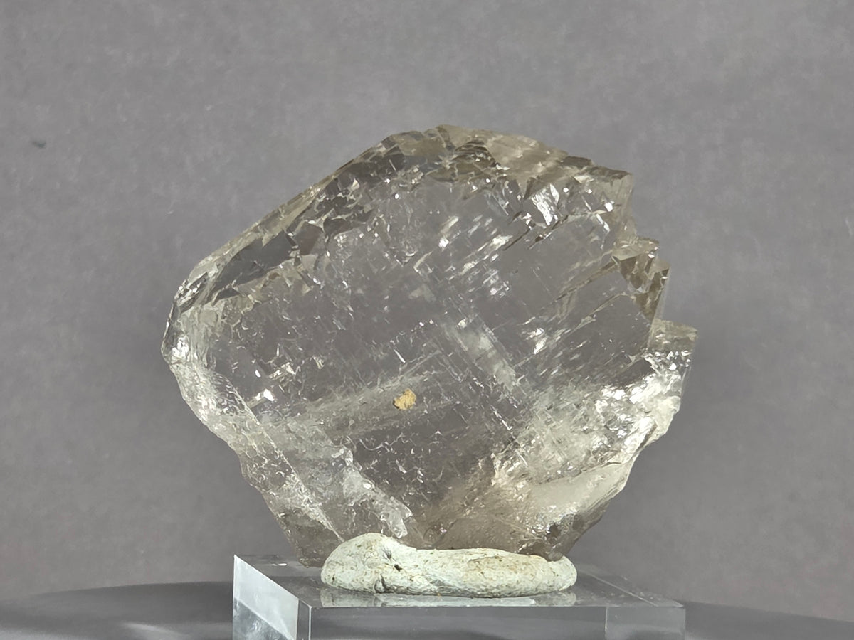 Rauchquarzgwindel - Uri/Schweiz ca. 5,8x5cm