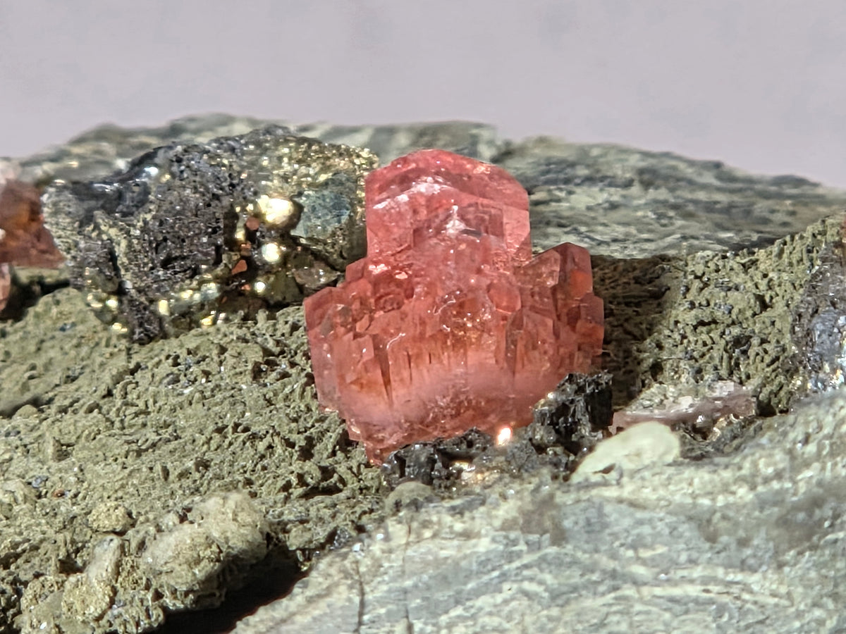 Rhodochrosit/Pyrit - Chihuahua/Mexiko ca. 9x6cm