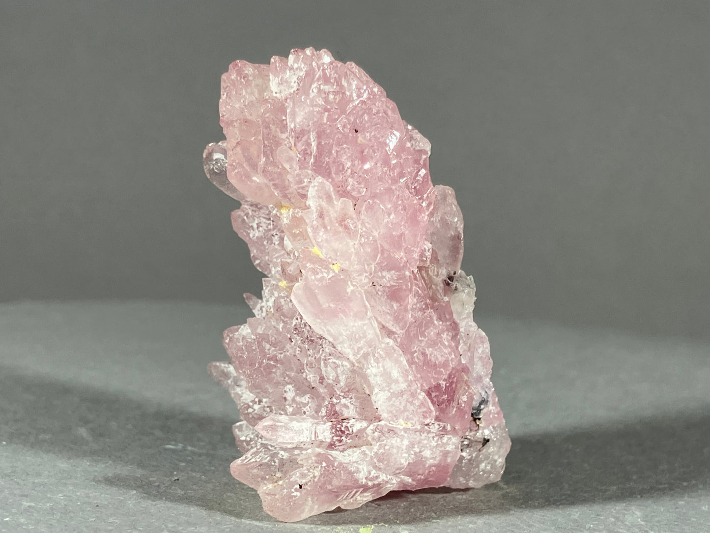 Rosenquarz - Minas Gerais/Brasilien ca. 4,5x2,5cm