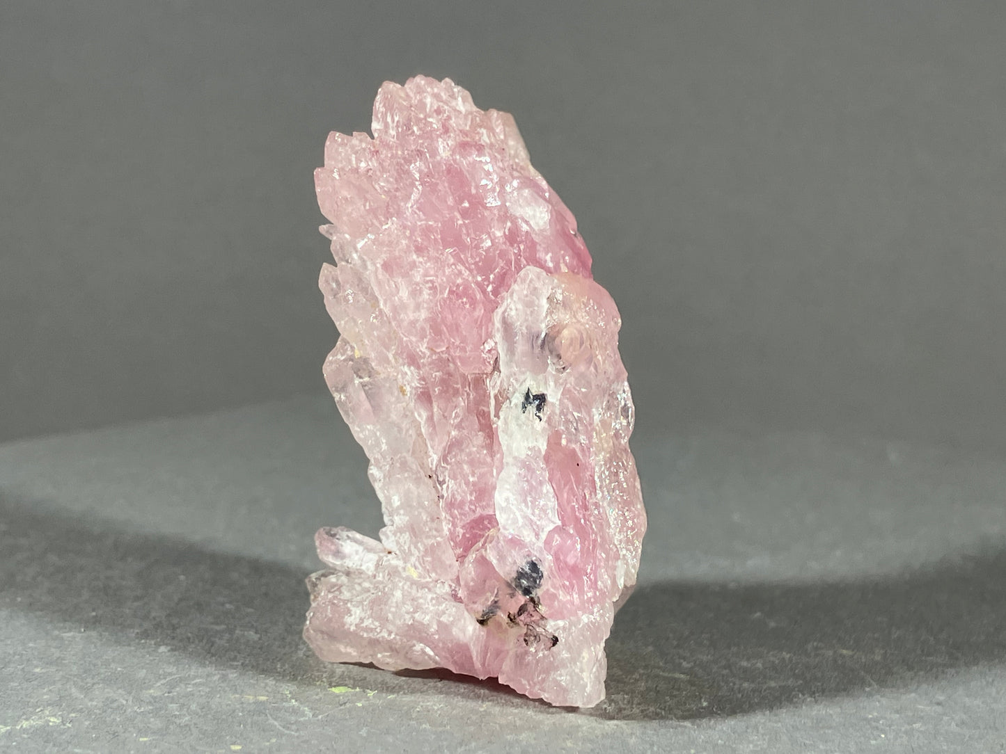 Rosenquarz - Minas Gerais/Brasilien ca. 4,5x2,5cm