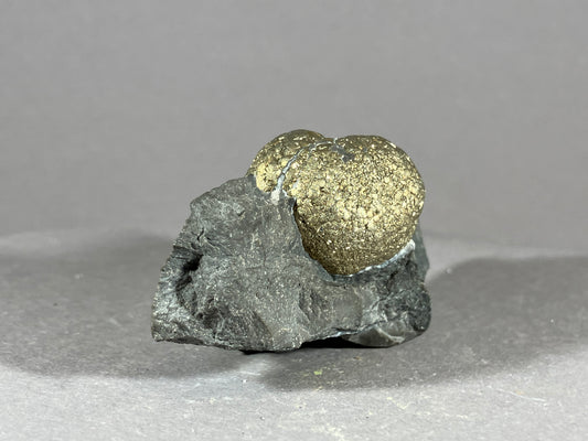 Pyrit - Hohenems/Vorarlberg ca. 7x3,5cm