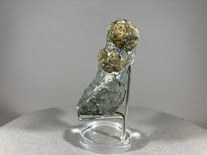 Pyrit - Hohenems/Vorarlberg ca. 6x5cm