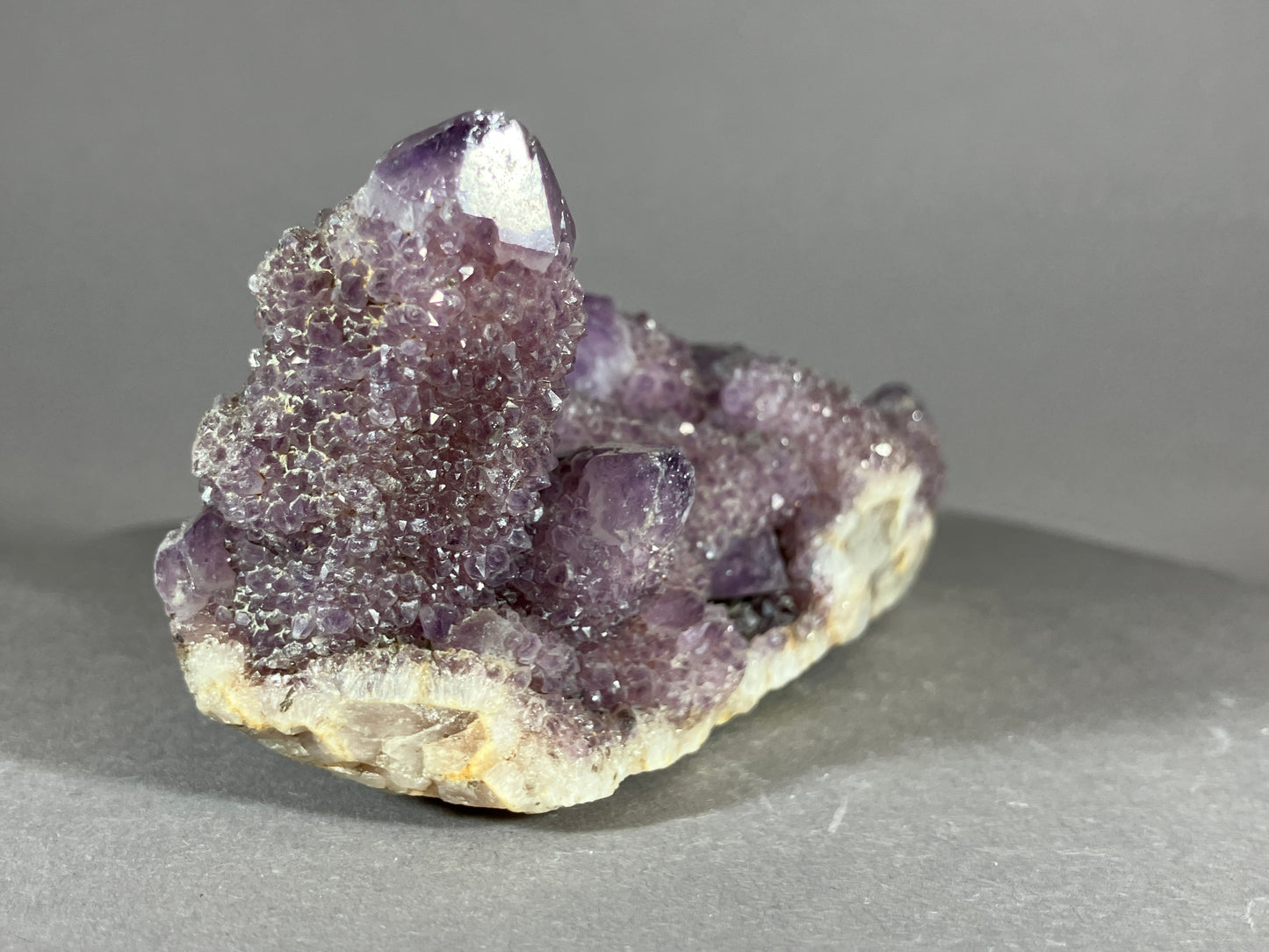 Kaktus Amethyst -Mpualanga/Afrika ca. 10x5cm