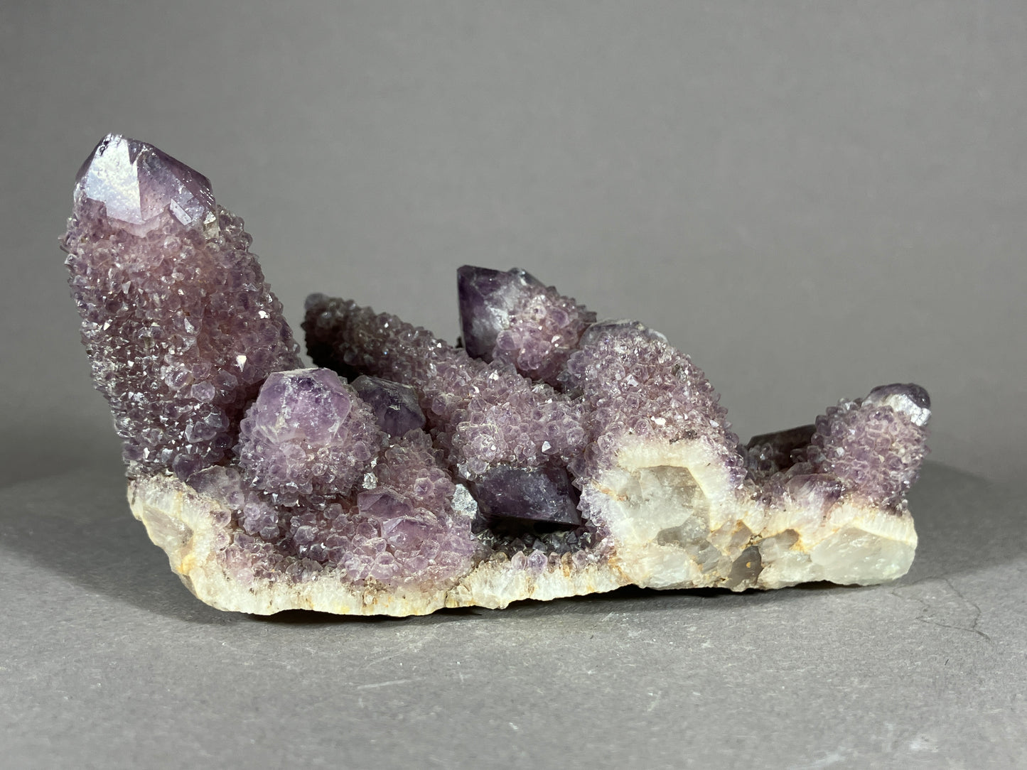 Kaktus Amethyst -Mpualanga/Afrika ca. 10x5cm