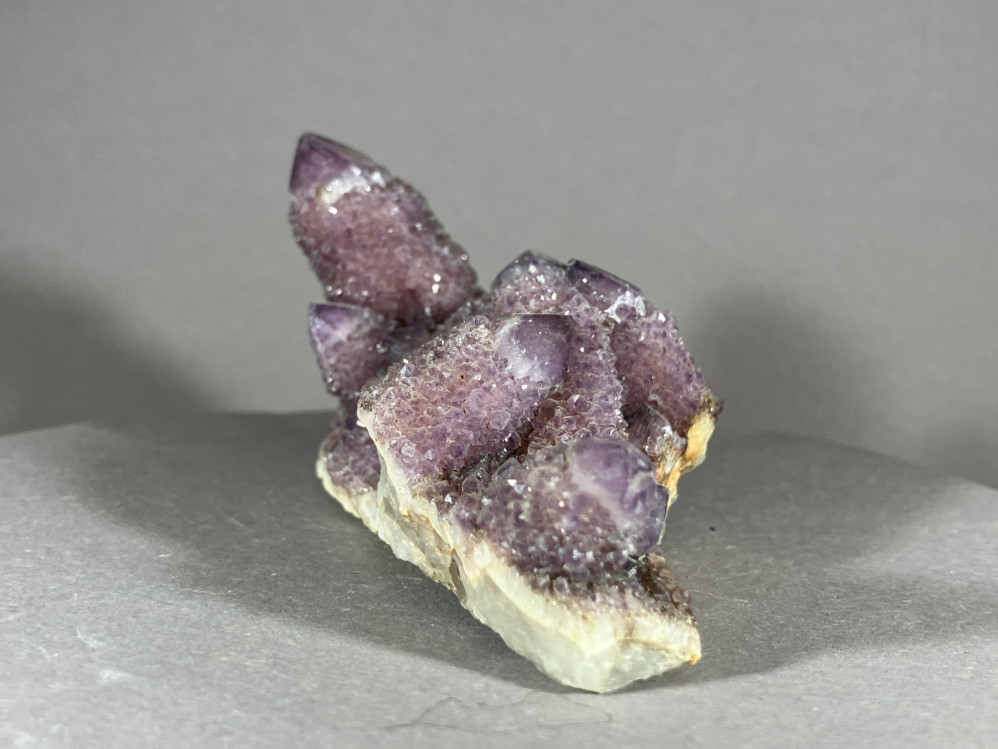 Kaktus Amethyst -Mpualanga/Afrika ca. 10x5cm