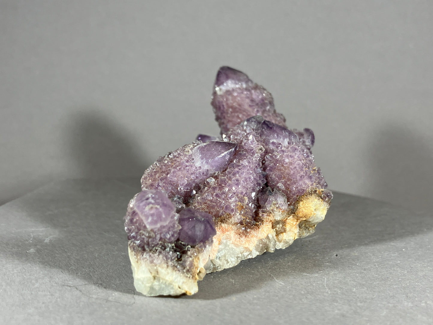 Kaktus Amethyst -Mpualanga/Afrika ca. 10x5cm