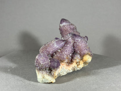 Kaktus Amethyst -Mpualanga/Afrika ca. 10x5cm