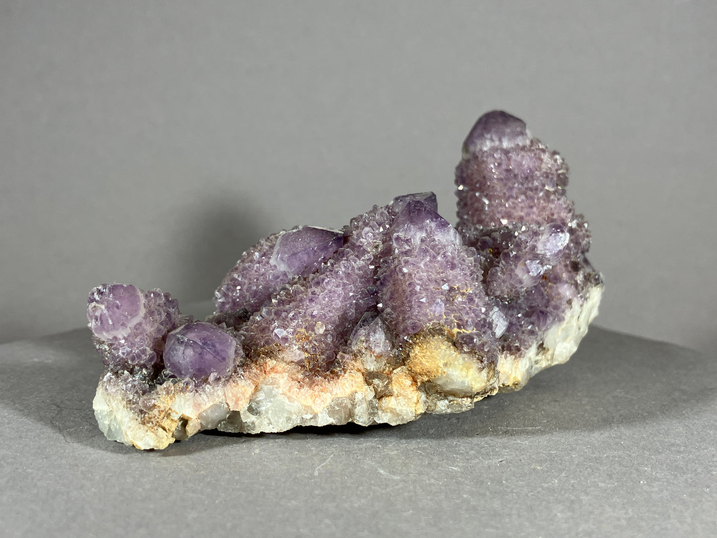 Kaktus Amethyst -Mpualanga/Afrika ca. 10x5cm