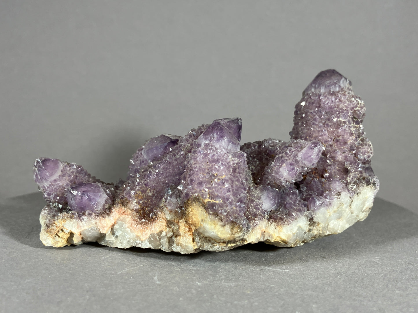 Kaktus Amethyst -Mpualanga/Afrika ca. 10x5cm