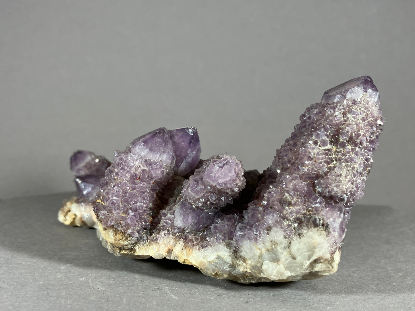 Kaktus Amethyst -Mpualanga/Afrika ca. 10x5cm