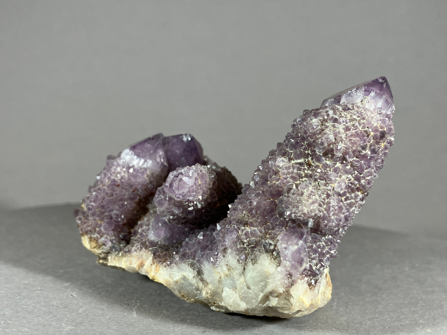 Kaktus Amethyst -Mpualanga/Afrika ca. 10x5cm