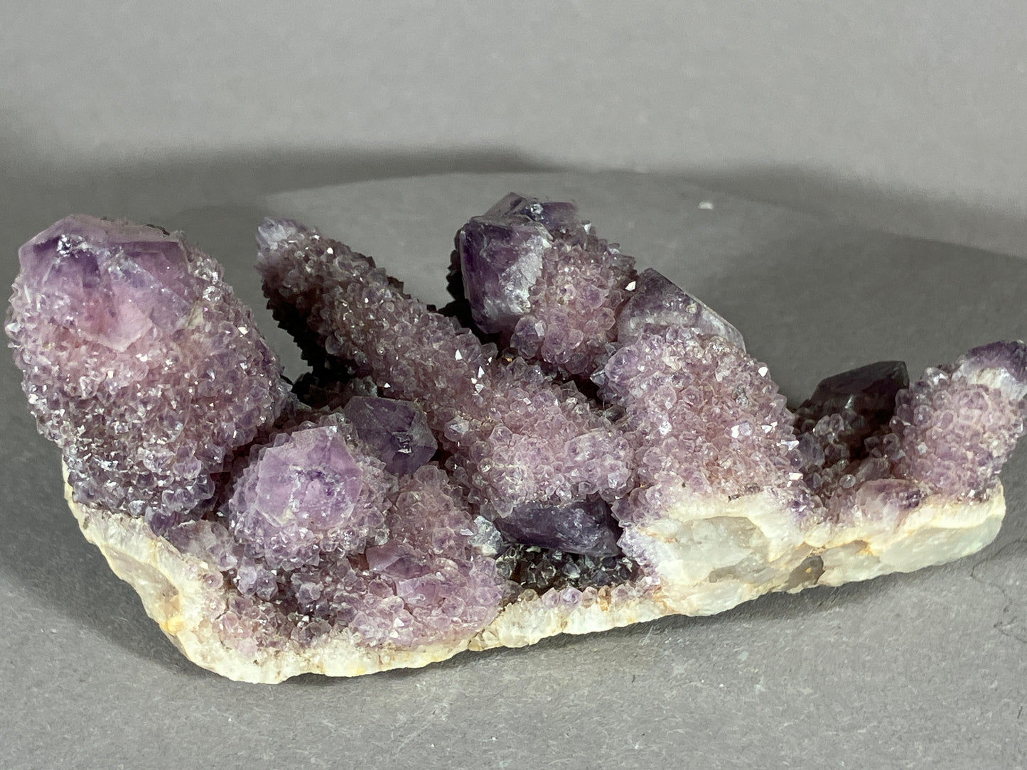 Kaktus Amethyst -Mpualanga/Afrika ca. 10x5cm