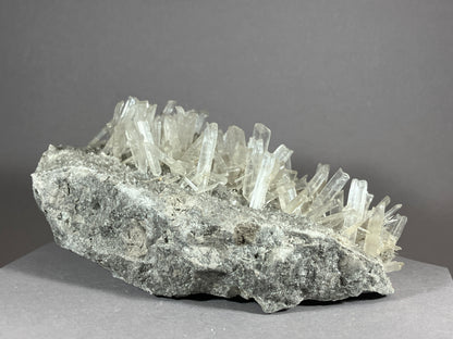 Gips - Hall/Tirol ca. 14,5x7cm