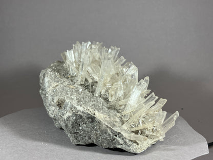 Gips - Hall/Tirol ca. 14,5x7cm
