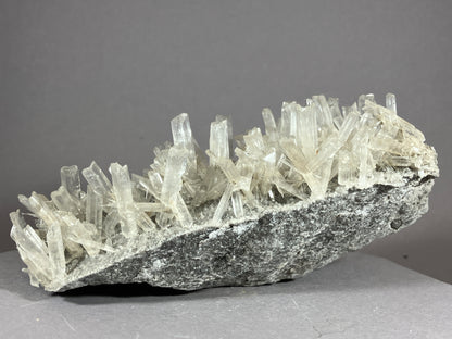 Gips - Hall/Tirol ca. 14,5x7cm