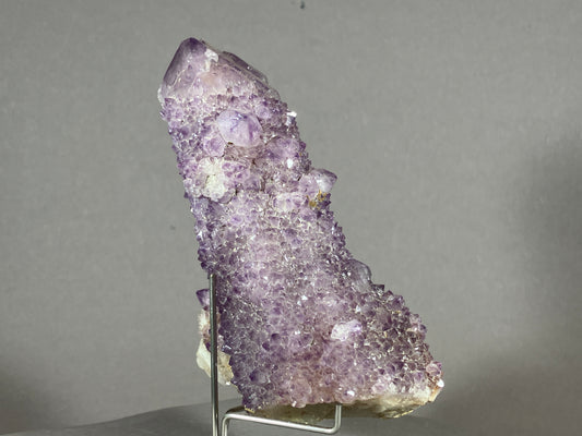 Kaktus Amethyst -Mpualanga/Afrika ca. 11x7cm