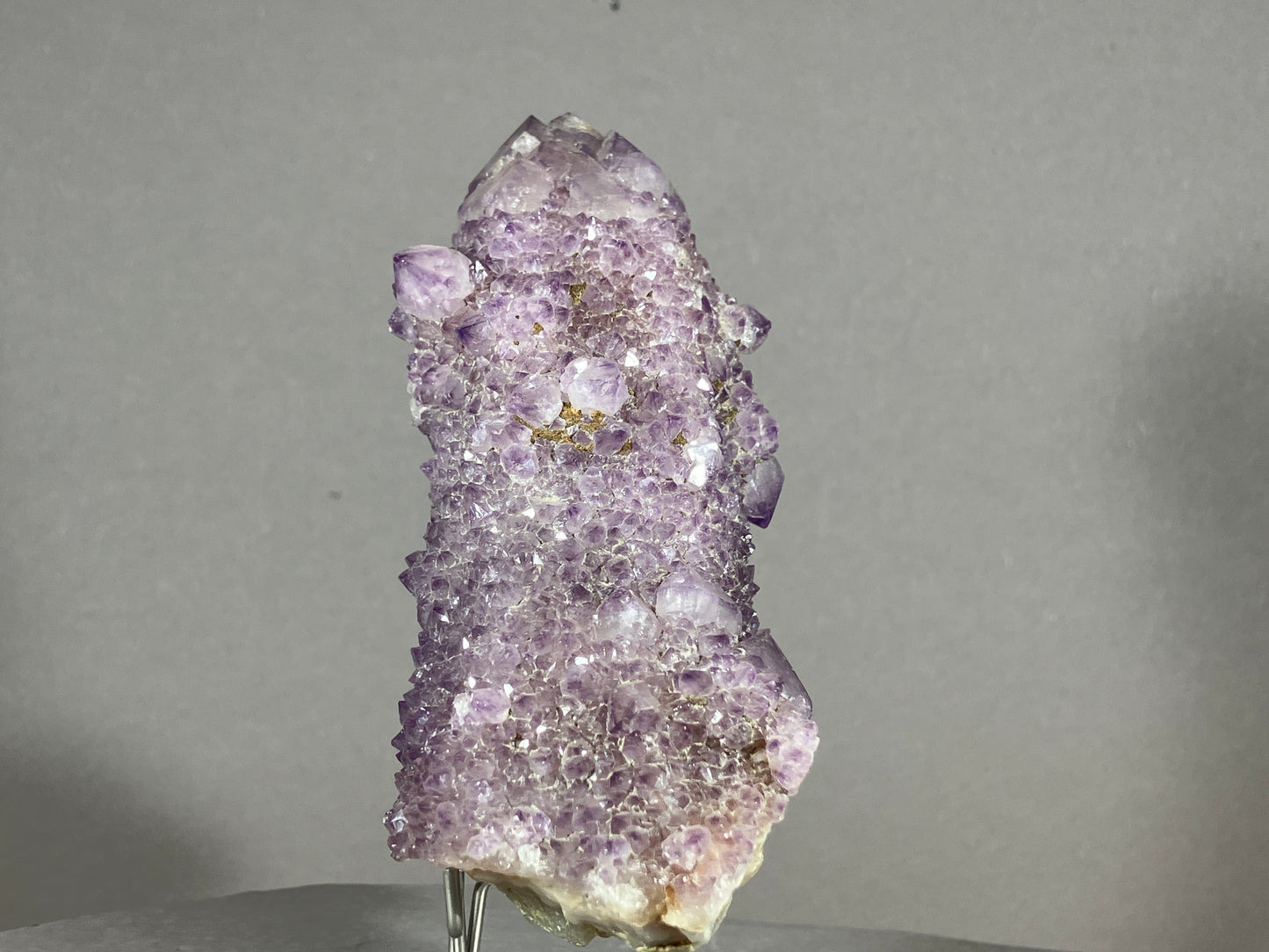 Kaktus Amethyst -Mpualanga/Afrika ca. 11x7cm