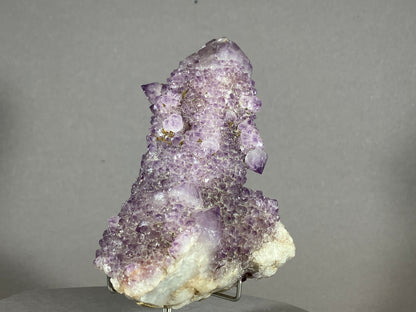 Kaktus Amethyst -Mpualanga/Afrika ca. 11x7cm