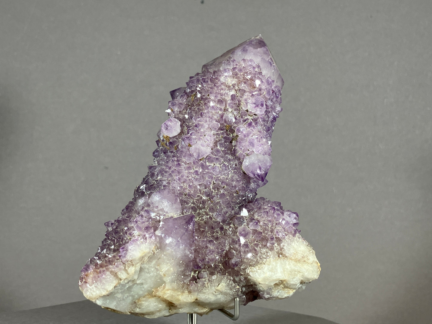 Kaktus Amethyst -Mpualanga/Afrika ca. 11x7cm