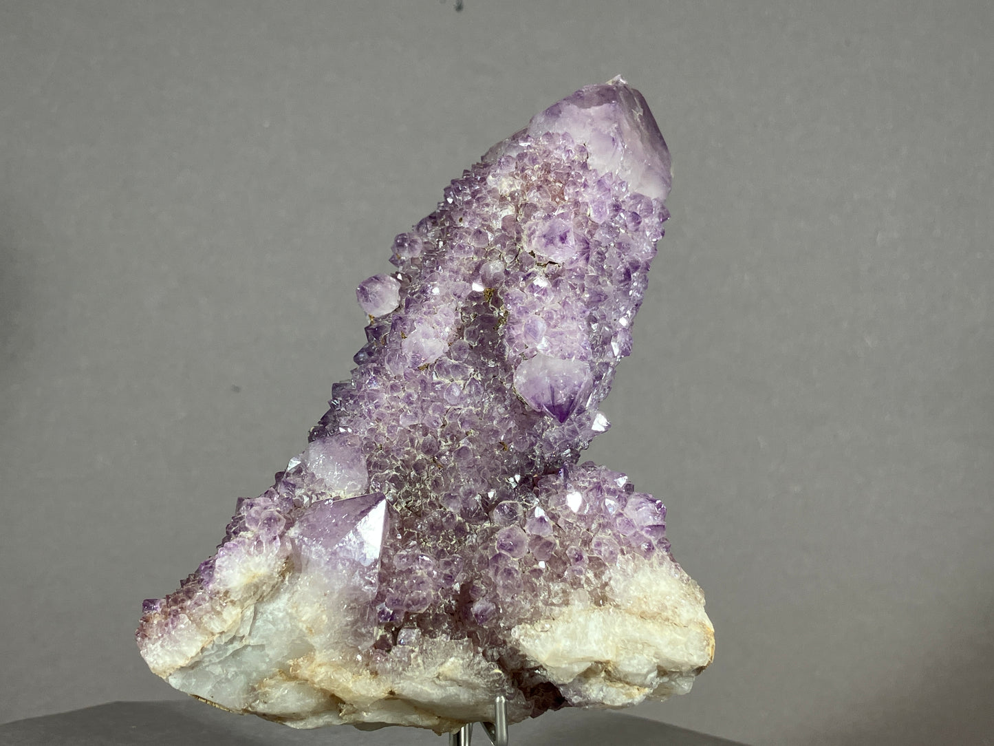 Kaktus Amethyst -Mpualanga/Afrika ca. 11x7cm