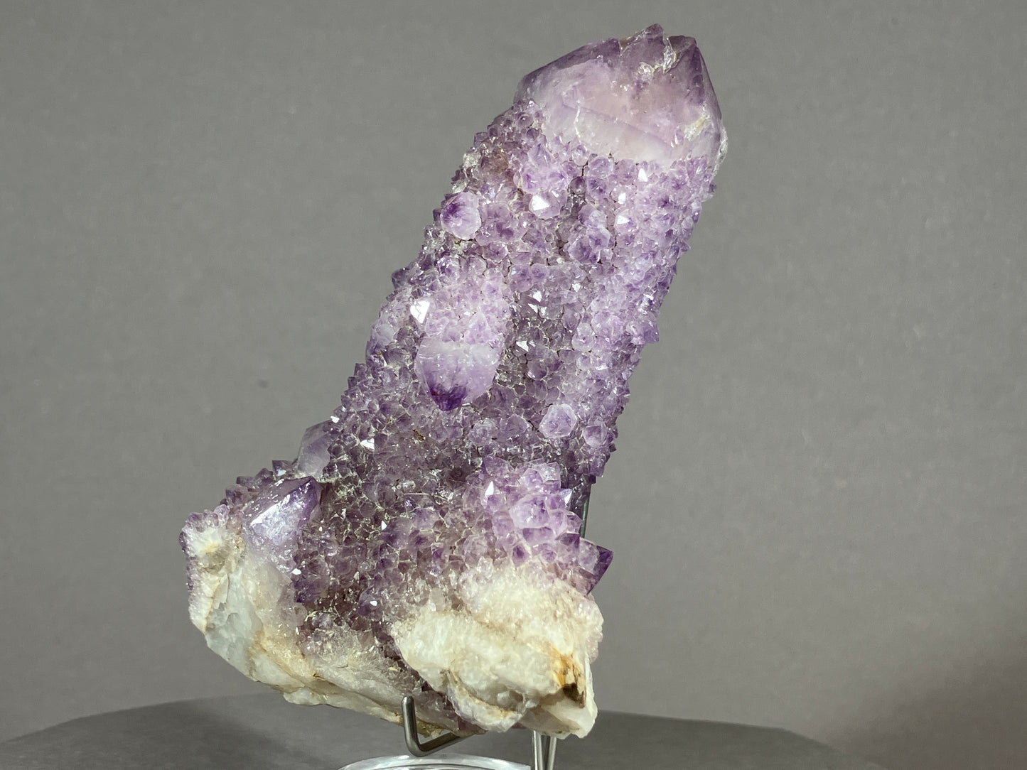 Kaktus Amethyst -Mpualanga/Afrika ca. 11x7cm