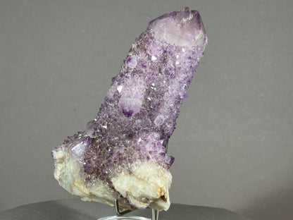 Kaktus Amethyst -Mpualanga/Afrika ca. 11x7cm