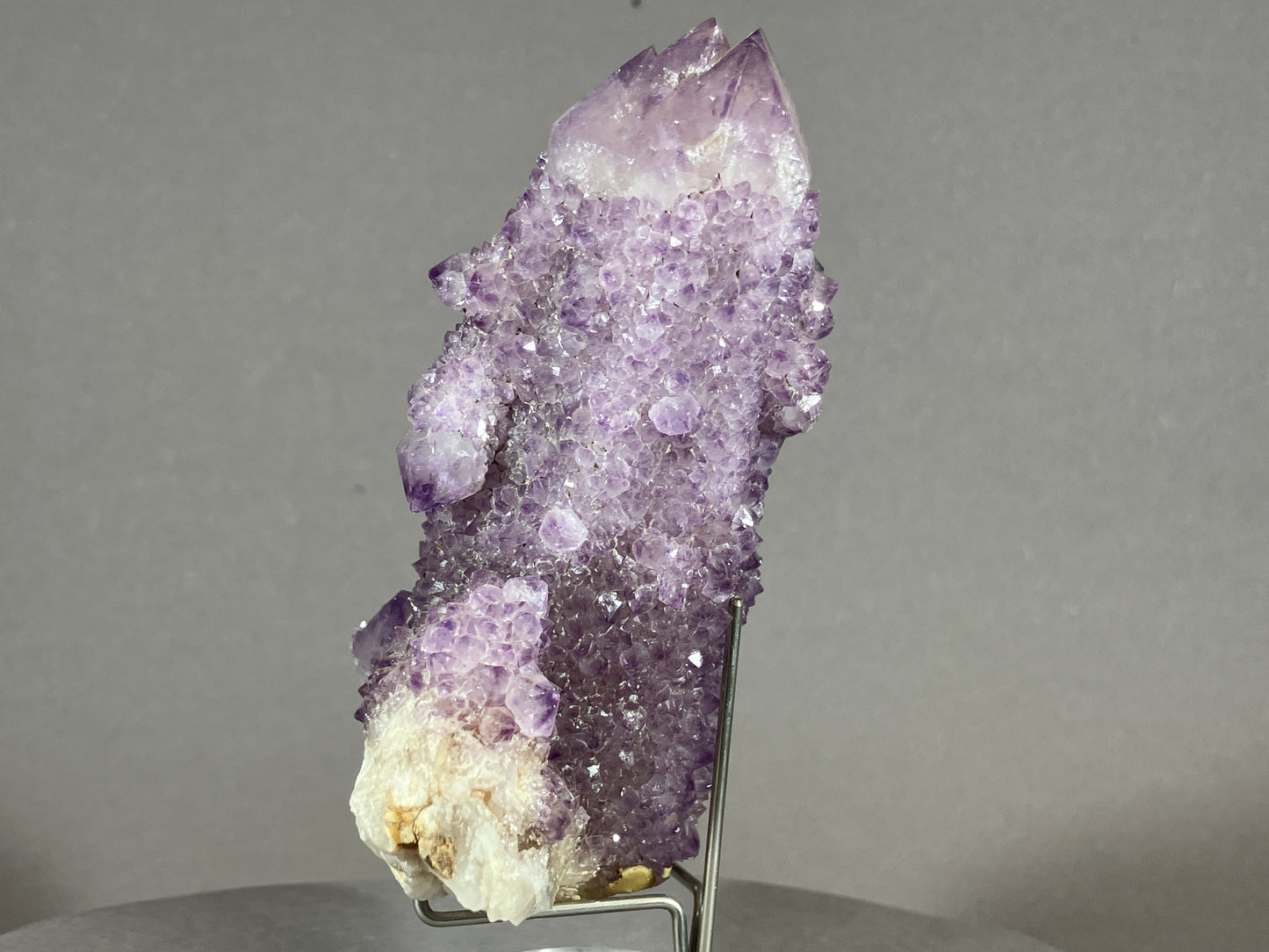Kaktus Amethyst -Mpualanga/Afrika ca. 11x7cm