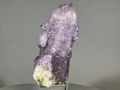 Kaktus Amethyst -Mpualanga/Afrika ca. 11x7cm