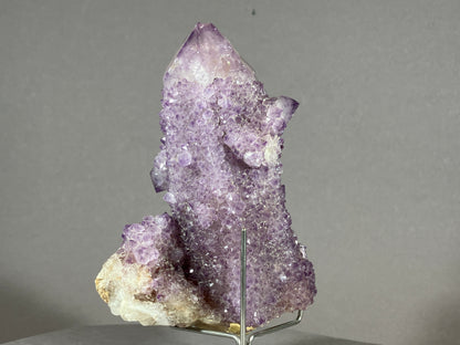 Kaktus Amethyst -Mpualanga/Afrika ca. 11x7cm