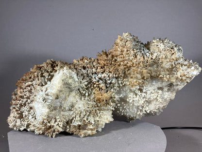 Calcit - Heiterwangersee/Tirol ca. 22x11cm