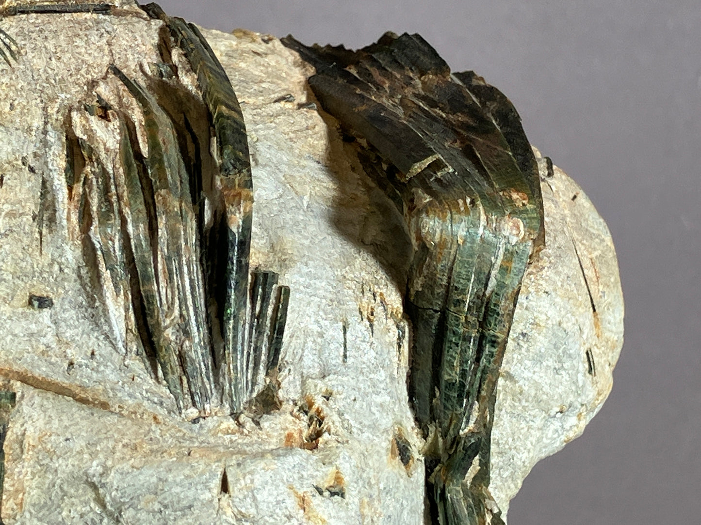 Aktinolith - Schlegeis/Zillertal ca. 10x8,5cm