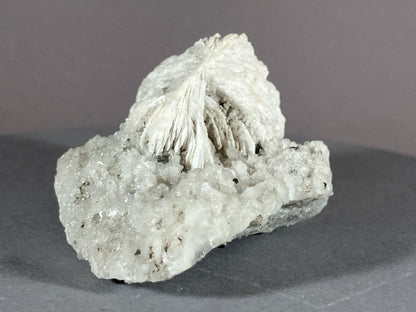 Baryt/Quarz/Fahlerz - St.Gertraudi/Tirol ca. 5x4cm