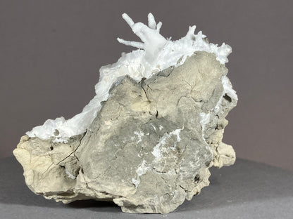 Aragonit/Eisenblüte - Pfunds/Tirol ca. 7x5cm