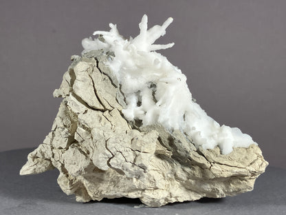 Aragonit/Eisenblüte - Pfunds/Tirol ca. 7x5cm