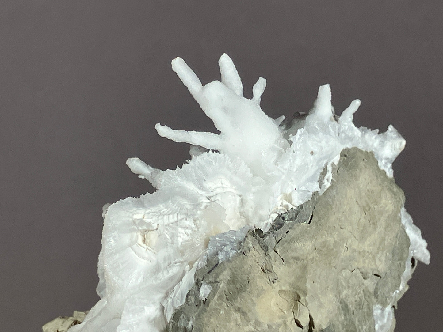 Aragonit/Eisenblüte - Pfunds/Tirol ca. 7x5cm