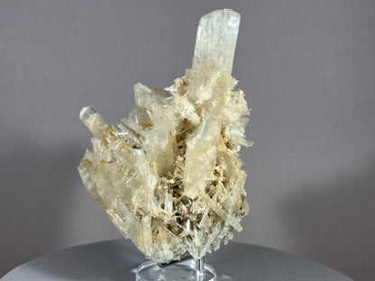 Gips - Lubin/Polen ca. 7x8cm