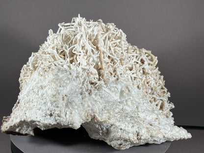Eisenblüte - Erzberg/Steiermark ca. 16x16cm