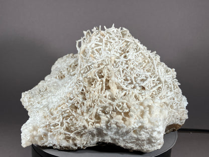 Eisenblüte - Erzberg/Steiermark ca. 16x16cm