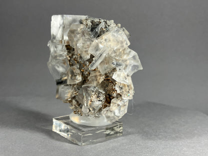 Fluorit mit Bergkristall - Dal`negorsk ca. 6x5cm