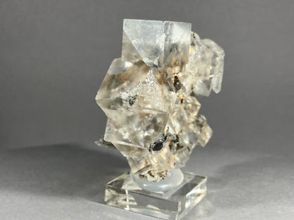 Fluorit mit Bergkristall - Dal`negorsk ca. 6x5cm