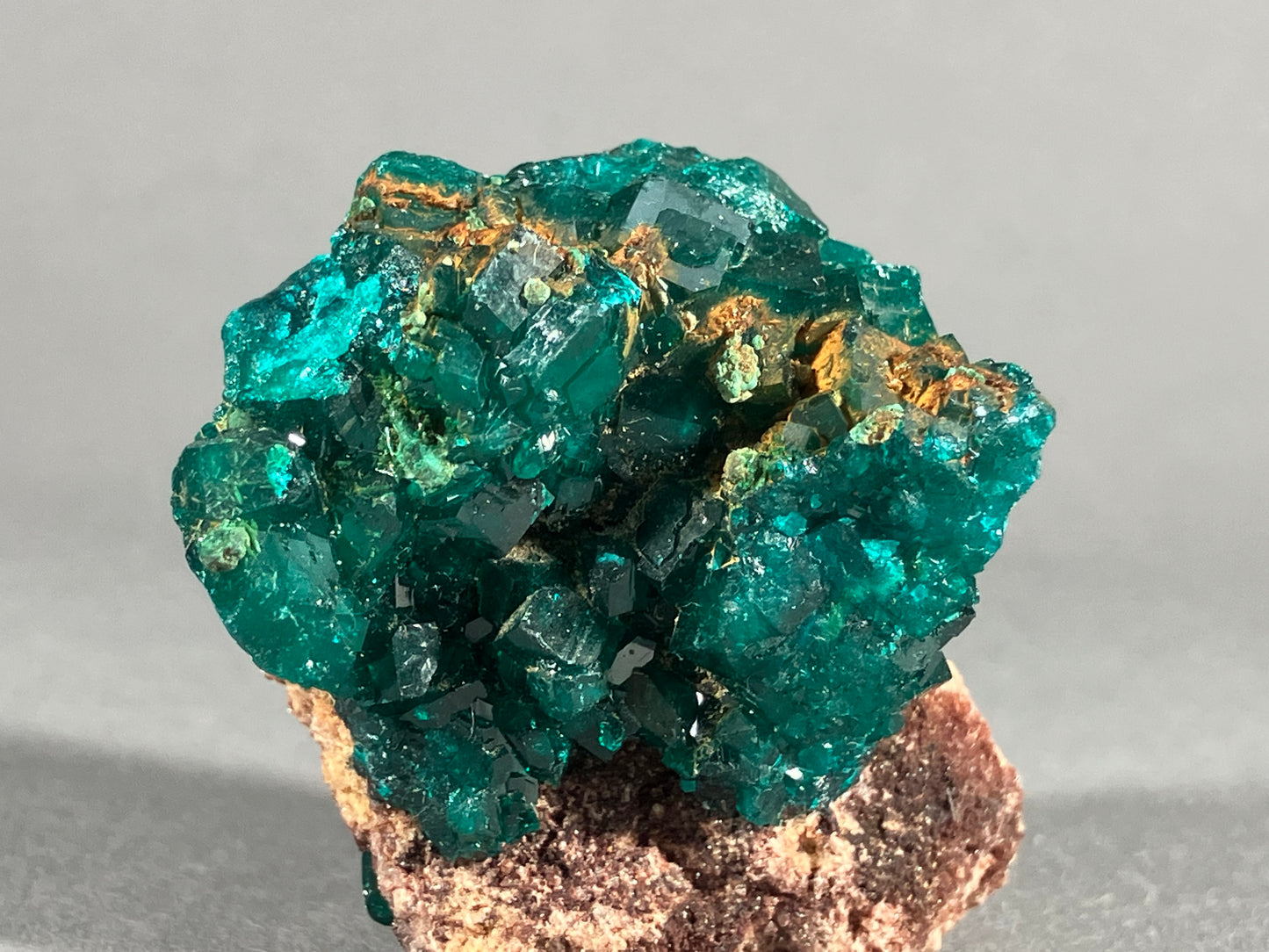 Dioptaskristalle - Kongo ca. 4x3cm