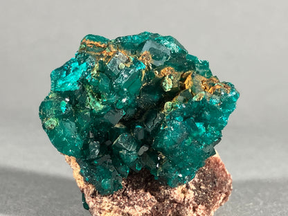 Dioptaskristalle - Kongo ca. 4x3cm