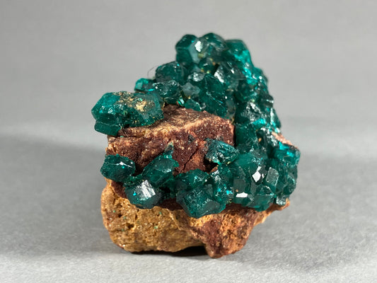 Dioptaskristalle - Kongo ca. 5,8x3,5cm