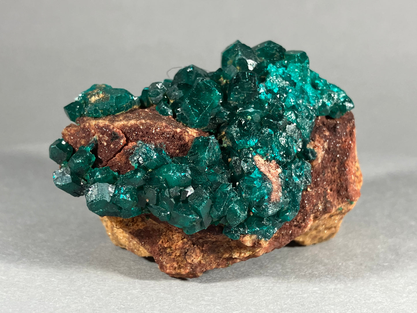 Dioptaskristalle - Kongo ca. 5,8x3,5cm