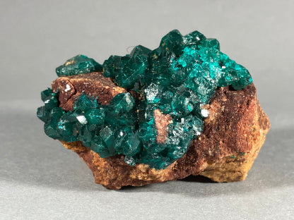 Dioptaskristalle - Kongo ca. 5,8x3,5cm